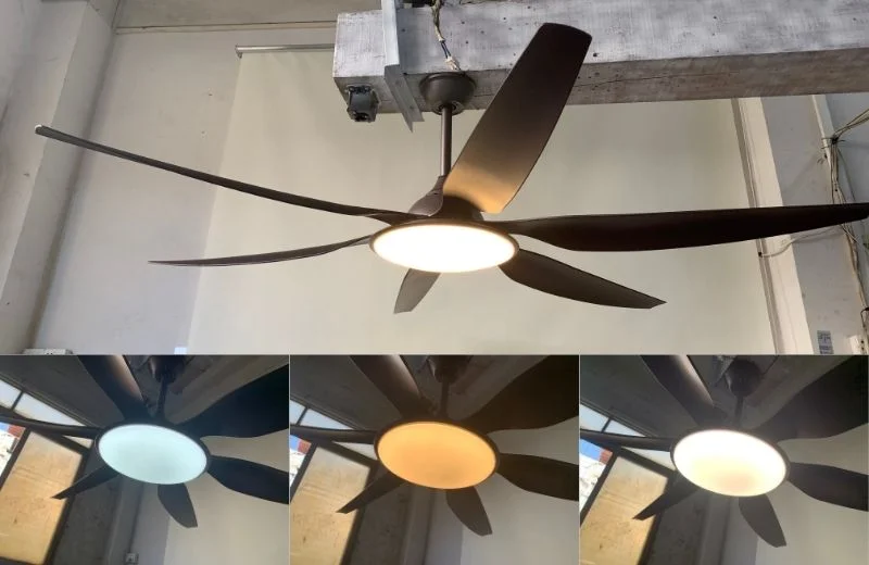 Quạt trần đèn QT43 với LED 3 chế độ