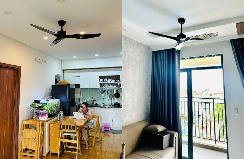 Quạt trần QT39 thực tế 1