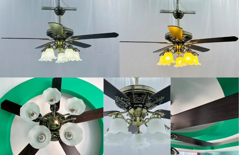 Ảnh cận chất liệu cánh của Quạt Trần Đèn QT5213 