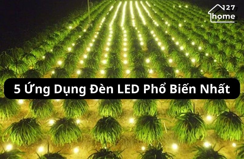 Đèn LED cung cấp sáng nhân tạo cho cây trồng ở khu vực thiếu ánh sáng tự nhiên