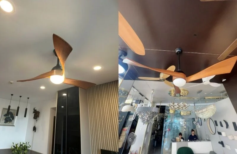 Đèn quạt trần QT52 thực tế