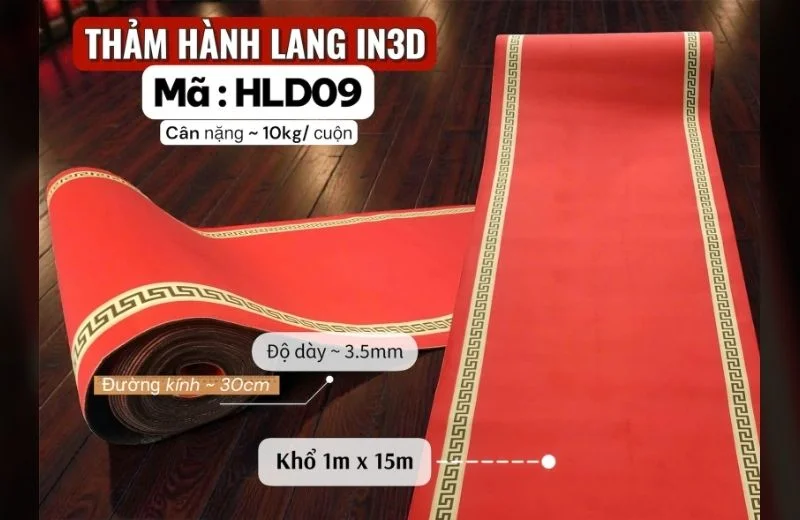 Chi tiết thảm hành lang in 3D HLD09