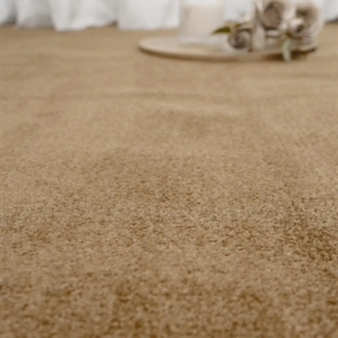 Thảm Văn Phòng PT05