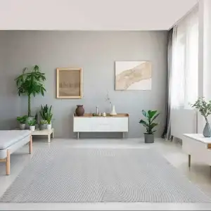 Thảm Trải Sàn Phòng Khách Silver 5 2