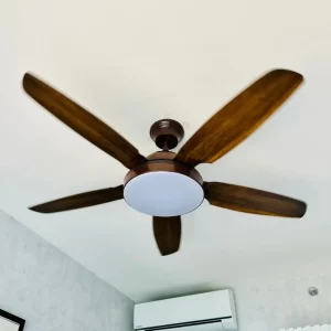 Quạt Trần Đèn QT5602 23