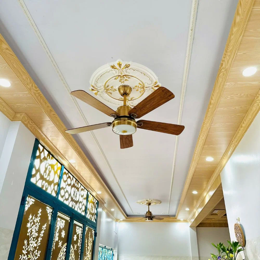 Quạt Trần 5 Cánh