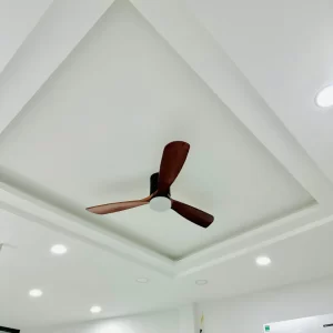 Quạt Trần Đèn QT41 20