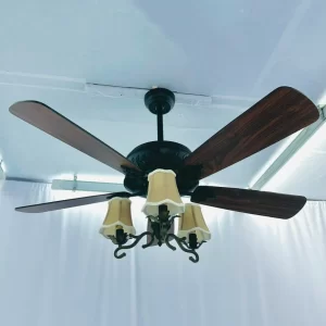 Quạt Trần Đèn QT42055 22