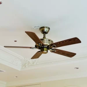 Quạt trần QT34B 1