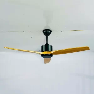 Quạt trần QT5209 2