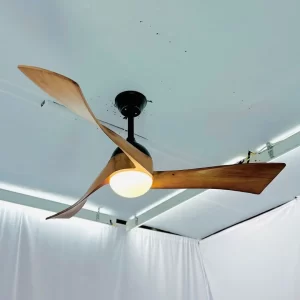 Quạt trần đèn QT52 1