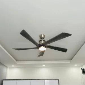 Quạt Trần Đèn QT60 1