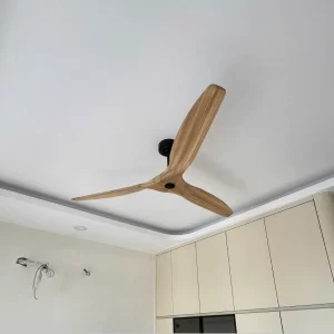 Quạt Trần QT51 1