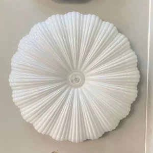 Đèn Ốp trần Mica OT104 2