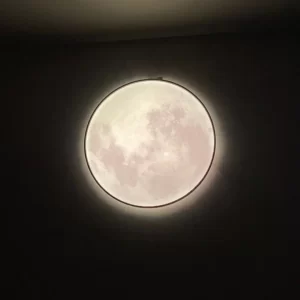 Đèn Ốp Trần Mica OTA03 2