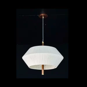 Đèn thả hiện đại THD57 1