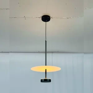 Đèn thả hiện đại THD59 1