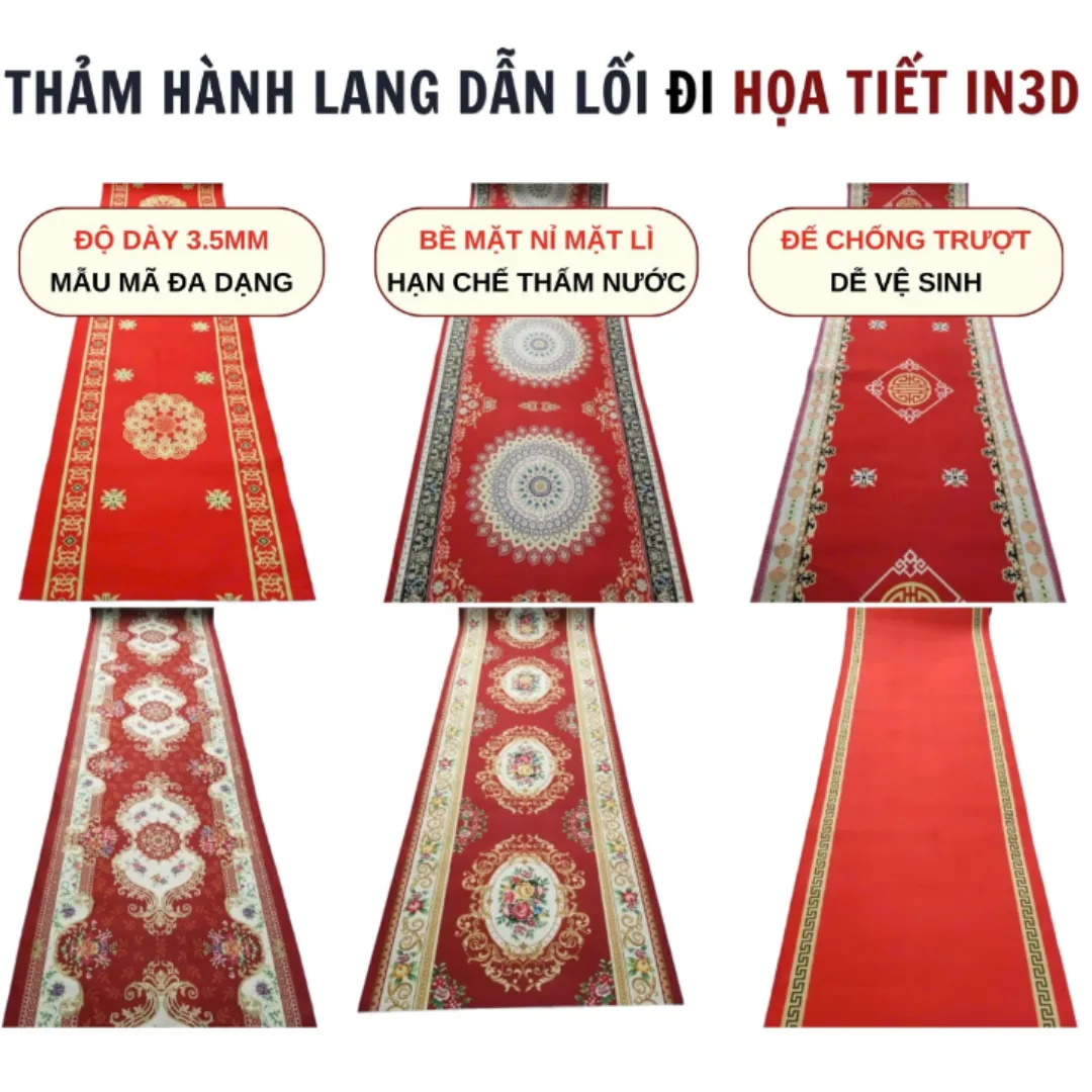 Tổng Hợp Thảm Hành Lang In 3D HLD