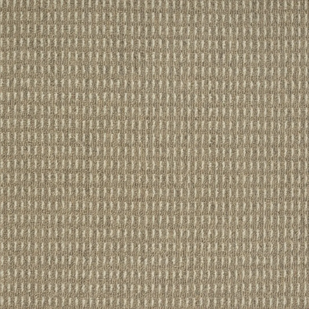 Thảm Văn Phòng T62