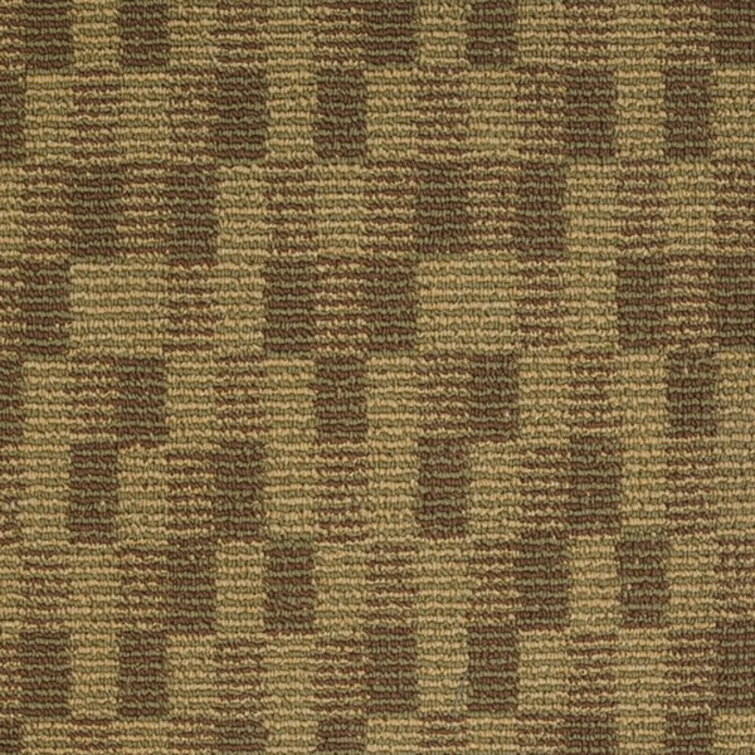 Thảm Văn Phòng QD55