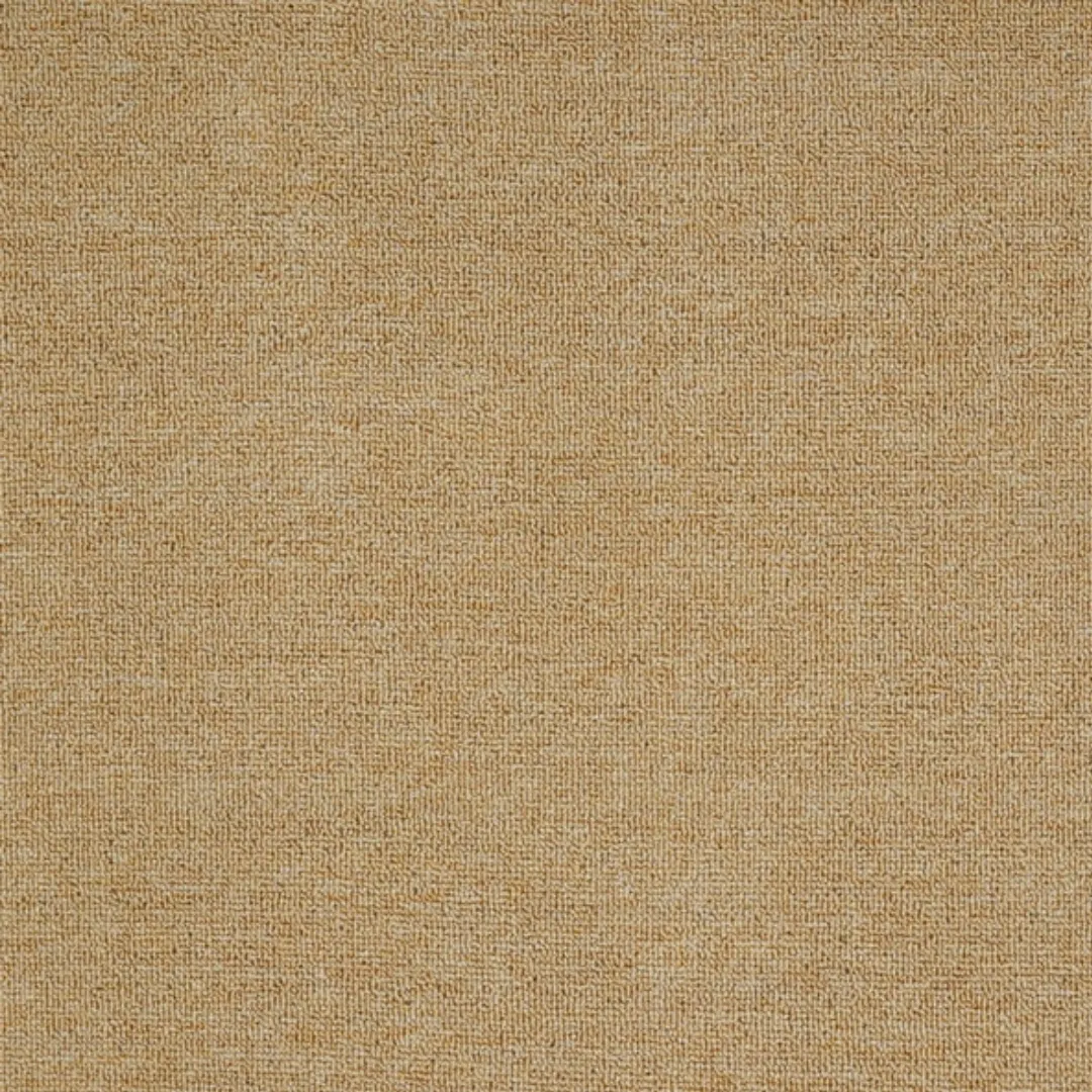 Thảm Văn Phòng C103