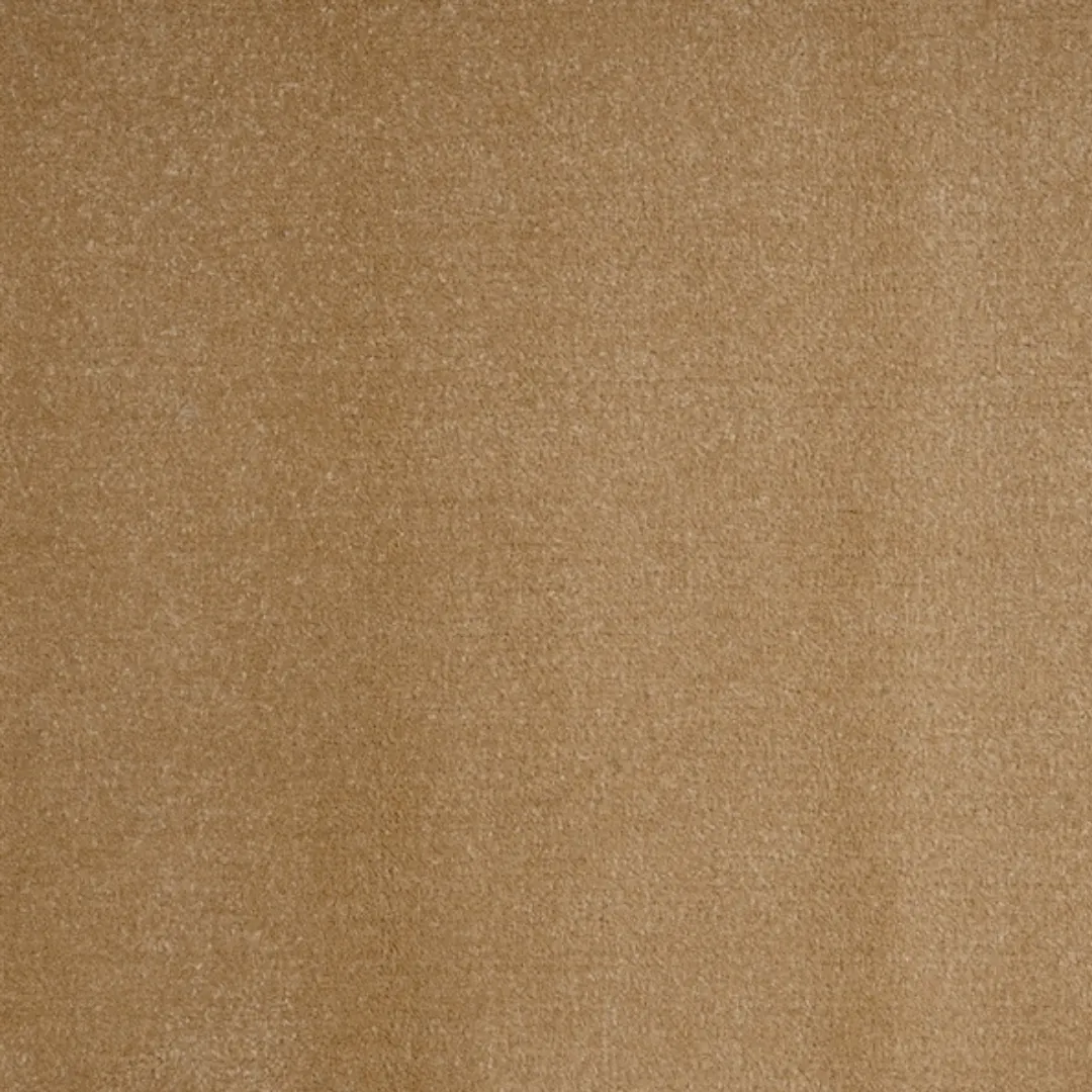 Thảm Văn Phòng PT03