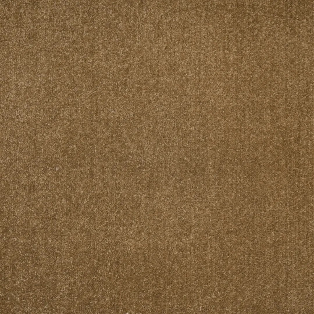 Thảm Văn Phòng PT05