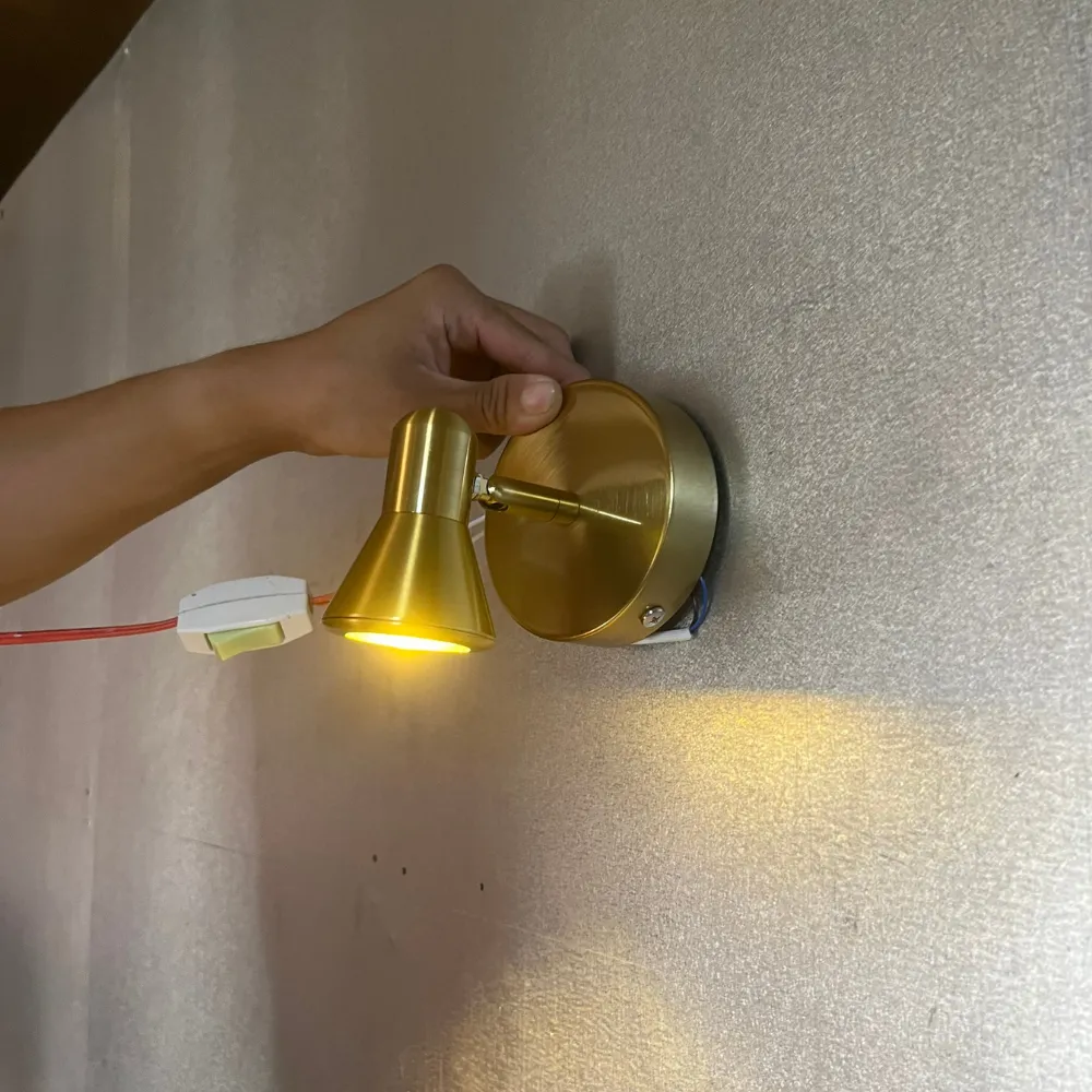 den-roi-tranh-rt5879 (6) Đèn Rọi Tranh RTA193 – Đèn Chiếu Tranh Tinh Tế Cho Không Gian Sang Trọng