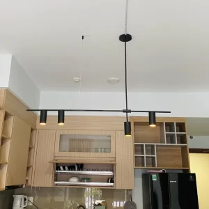 Đèn Thả Thiết Kế TTK110N4 1