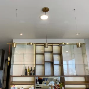 Đèn Thả Thiết Kế TTK111N5 1