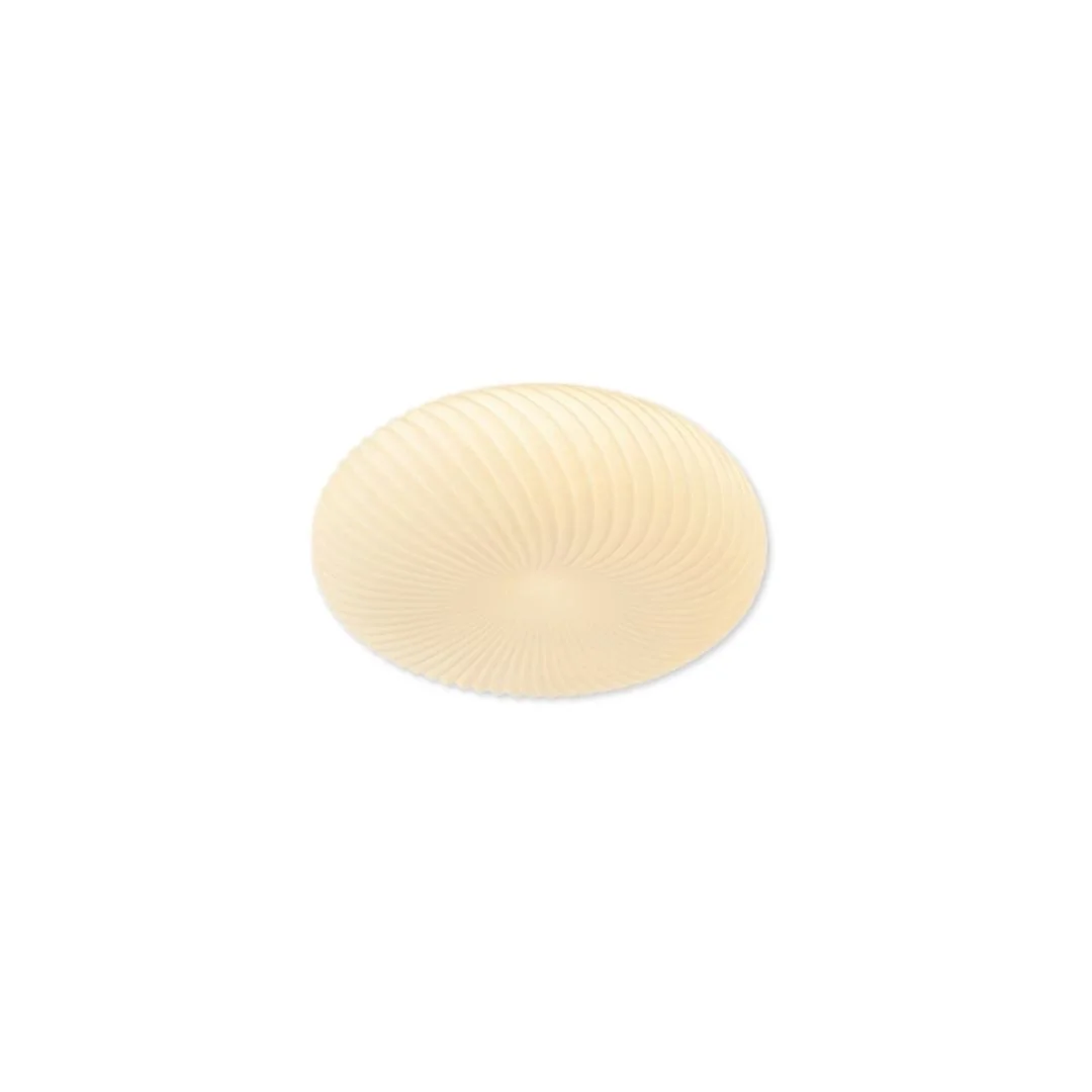 Đèn ốp trần mica OT1100
