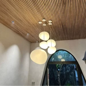 Đèn thả trần TT46 2