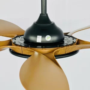 Quạt Trần Đèn QT70 20